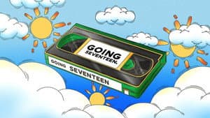 GOING SEVENTEEN — foto 2