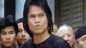 洪拳與佛掌 — foto 1