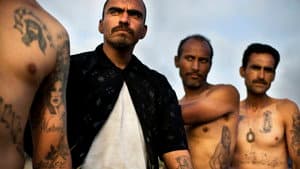 Narco Cultura — foto 1