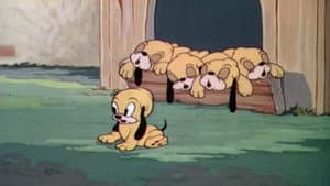 Pluto's Quin-puplets — foto 1