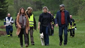Episodio 8