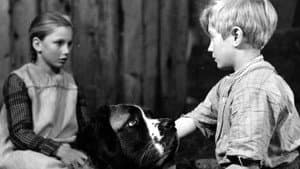 Heart of a Child — foto 1