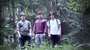 Lost In The Woods — foto 1