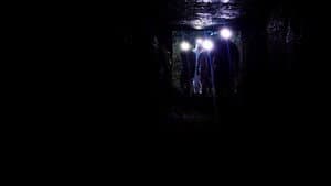 Virus Hunters — foto 4