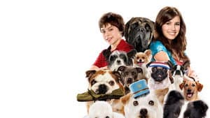 Hotel para Perros — foto 6