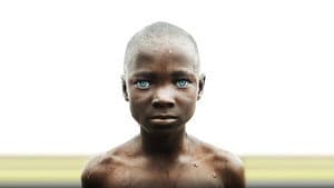 Territorio Africano — foto 1