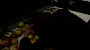 The Vicissitude of an Office Job — foto 11