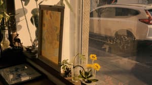 Window Flowers — foto 1