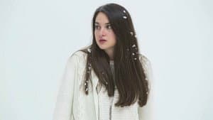 White Bird in a Blizzard — foto 4