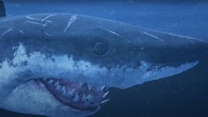 Mummy Shark — foto 1