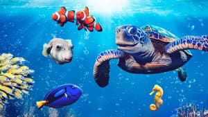 Reef School — foto 4