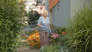 Babička jako Šance — foto 1