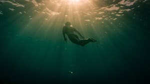 Against the Tides — foto 3