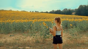 Se souvenir des tournesols — foto 2