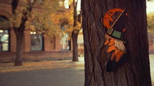 The Witching Season — foto 1