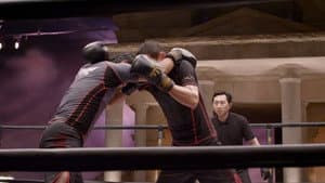 Fists of Legend — foto 4