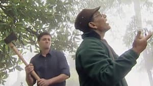 Episodio 2