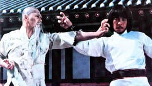 인자문살수 — foto 2