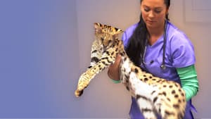 Animal ER — foto 8