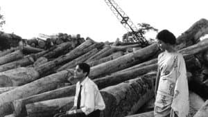 আকাশ কুসুম — foto 2