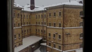 Släpp fångarne loss - det är vår! — foto 6