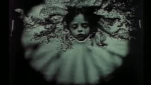 Blood Ties: The Life and Work of Sally Mann — foto 6