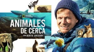 Animales de cerca con Bertie Gregory — foto 6