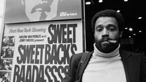 Naissance d'un héros noir au cinéma : Sweet Sweetback — foto 1