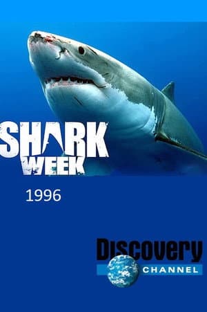 Temporada 9