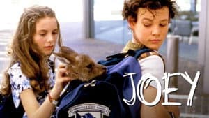 Joey — foto 5