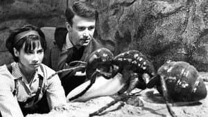 Doctor Who: Planet of Giants — foto 1