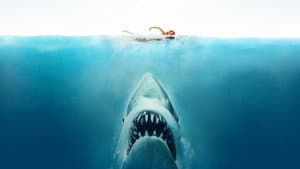 Les dents de la mer, un succès monstre — foto 2