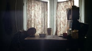 Koka — foto 1