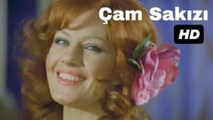 Çam Sakızı — foto 2