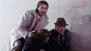 Senza ragione — foto 1