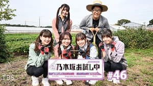 Episodio 11