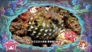 Episodio 5