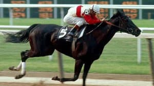 Ruffian — foto 1
