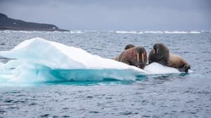 Odyssée sous les glaces — foto 3
