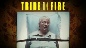 Trine on Fire — foto 1