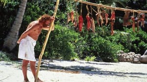 Castaway — foto 4