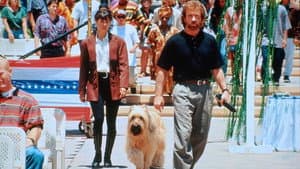Top Dog — foto 2