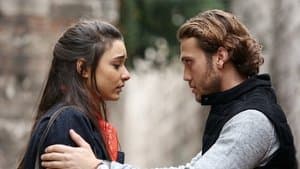 Episodio 7