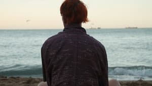 Howls to the Harbour — foto 1