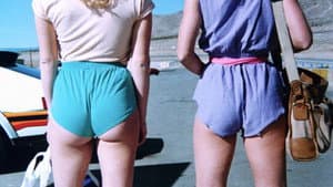 Malibu Express — foto 4
