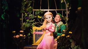 Sprookjesboom de Musical - Een Wonderlijk Muziekfeest — foto 1