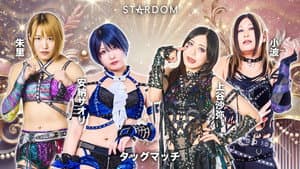 第15回 ゴッデス・オブ・スターダム ～タッグリーグ決勝トーナメント～ in OSAKA — foto 8