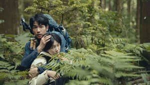 山忌 黃衣小飛俠 — foto 10