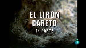 Episodio 28