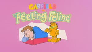 Sintiéndose gato